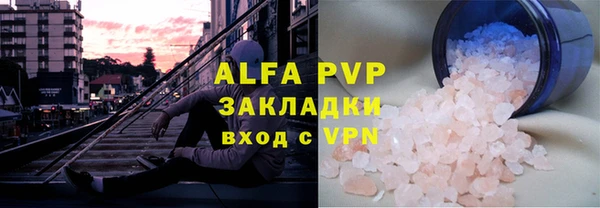 ECSTASY Белокуриха