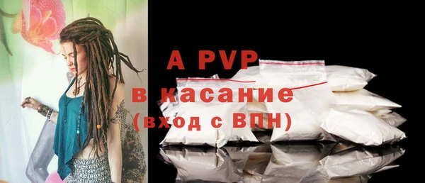 ECSTASY Белокуриха