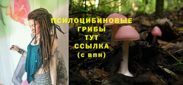 дурь Беломорск